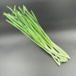 Kinagressløk (Garlic Chives)