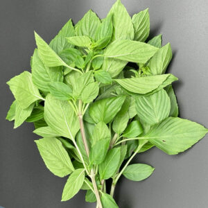 Thai Sweet basil