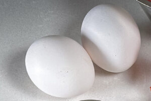 Egg