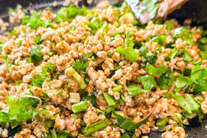 Laab Moo med urter tilsatt