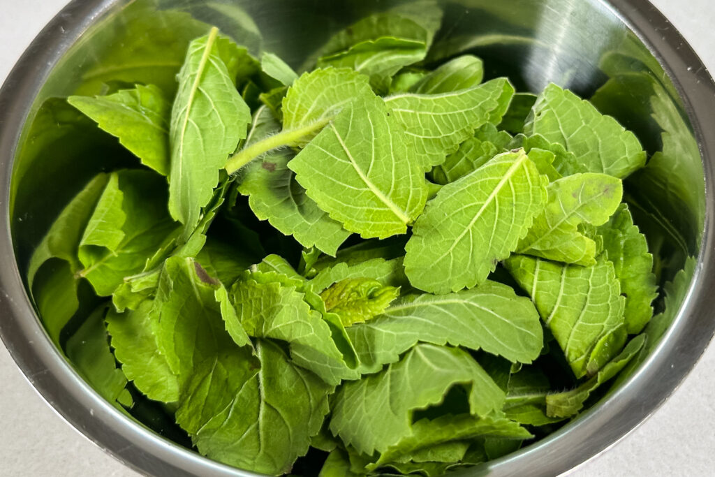 Pad kaprao moo - holy basil preppet
