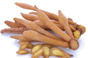 Krachai, Fingerroot