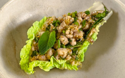 Laab Gai – lun salat med hakket/grovmalt kylling