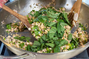 Laab gai – lun salat med hakket/grovmalt kylling Laab gai - mynte blandes inn